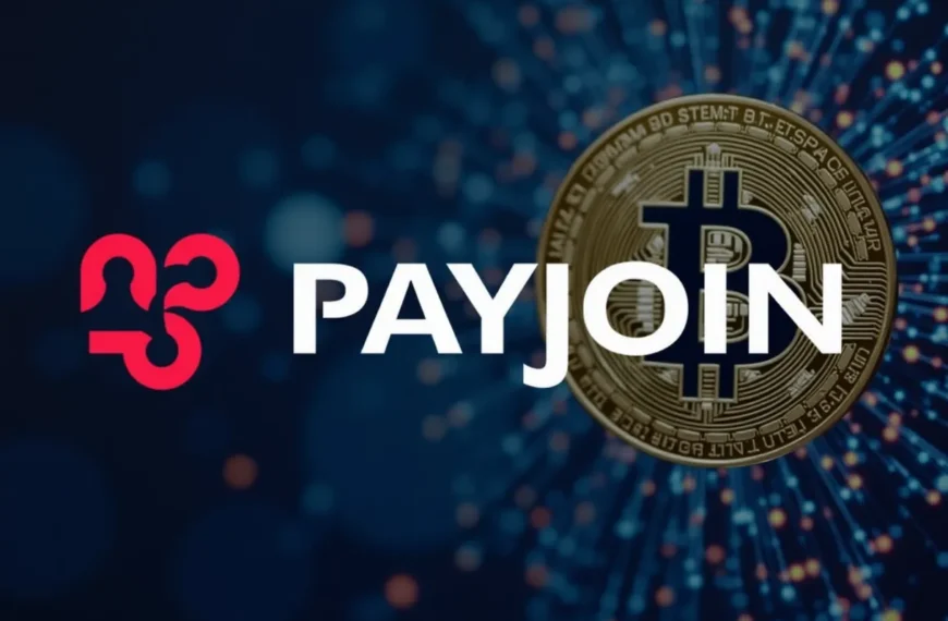 Bitcoin Privacy Tool Payjoin Secures $100K Grant from Maelstrom